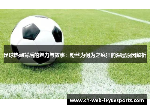 足球热潮背后的魅力与故事：粉丝为何为之疯狂的深层原因解析