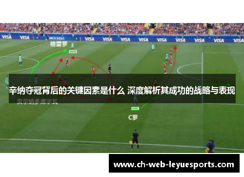 辛纳夺冠背后的关键因素是什么 深度解析其成功的战略与表现