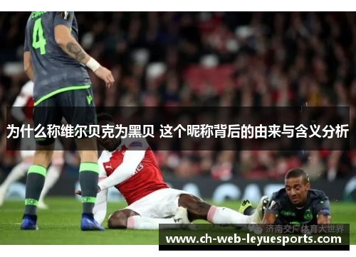 为什么称维尔贝克为黑贝 这个昵称背后的由来与含义分析