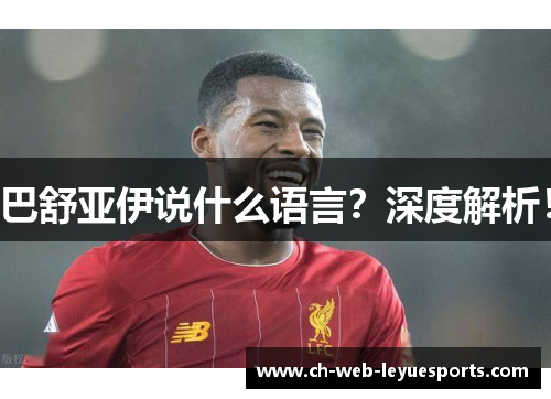 巴舒亚伊说什么语言？深度解析！