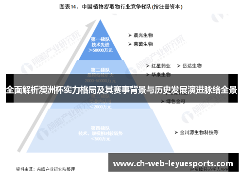 全面解析澳洲杯实力格局及其赛事背景与历史发展演进脉络全景 全面解析澳洲杯实力格局及其赛事背景与历史发展演进脉络全景