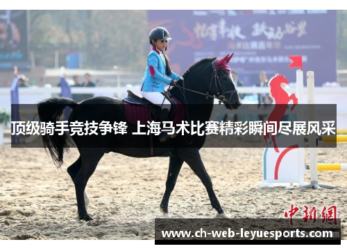 顶级骑手竞技争锋 上海马术比赛精彩瞬间尽展风采