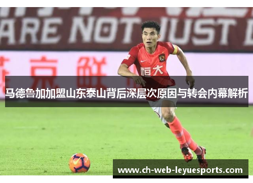 马德鲁加加盟山东泰山背后深层次原因与转会内幕解析